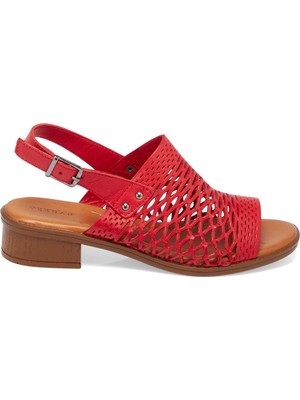 Tergan Kırmızı Hakiki Deri Kadın Sandalet - K25Y1SN67928-A30
