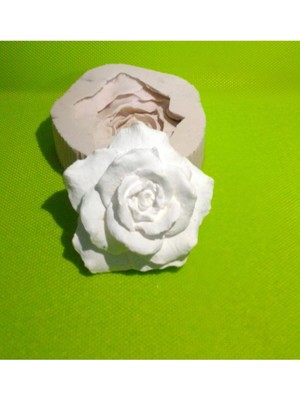 Açmış Çiçek Silikon Kalıp