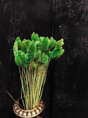 Kuru Çiçek Şoklanmış Kuş Otu (Palaris Çiçeği)Vazo Arajman Nişan Kına Düğün Organizasyon Çiçeği