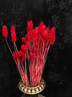 Kuru Çiçek Şoklanmış Kuş Otu (Palaris Çiçeği)Vazo Arajman Nişan Kına Düğün Organizasyon Çiçeği