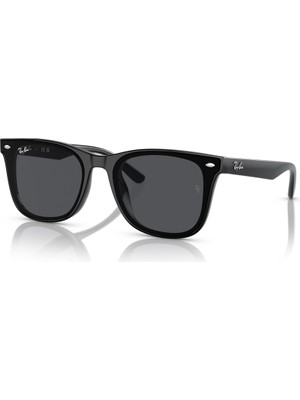 Ray-Ban 4420 601/87 65 Unisex Güneş Gözlüğü
