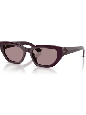 Burberry Be 4463 3400/LA 54
