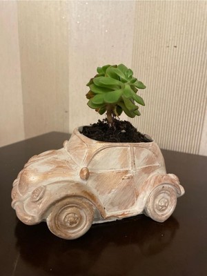 Krem Rengi Dekoratif Araba Saksı