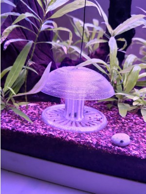 Akvaryum Salyangoz Tuzağı Şeffaf | Etkili Tuzak + Dekoratif Akvaryum Aksesuarı Jellyfish Model