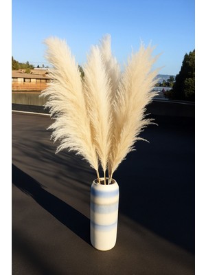 Bej Pampas Grass 5'li, Pofuduk, Dökülmeyen, Ithal, Şık Dekorasyon Seti