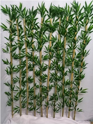 Yeşil Bambu Islak Doku, 150 Cm, 20 Adet, Doğal ve Konforlu Kullanıma Uygun