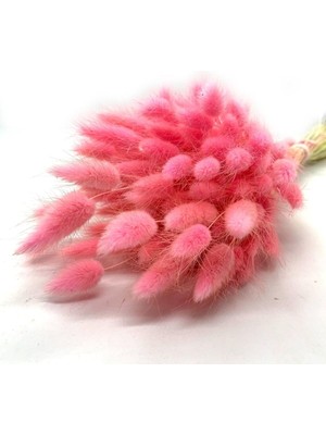 Doğal Pembe Pamuk Otu Kuru Başak Dekoru, Şık ve Zarif Süsleme Seçeneği