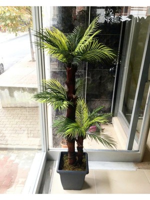 Yeşil Dekoratif Yapay Çıkas Ağacı 150 Cm, Doğal Görünüm ve Şık Tasarım