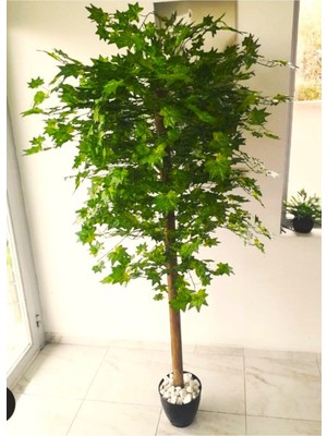 Yapay Çınar Ağacı 1.90 M Büyük Boy Yeşil Geniş Asma Yaprak Dekorasyon
