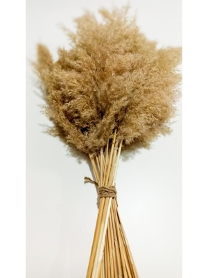 Bej Kuru Pampas Otlu Dekoratif Çiçekli Paspas