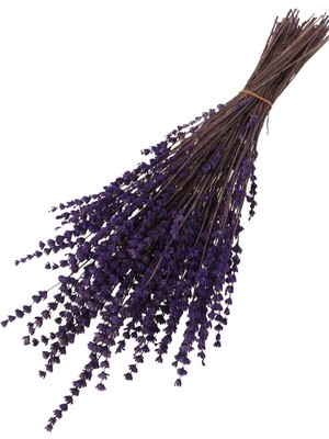 Koyu Mor Kuru Çiçek, Dökülmeye Dayanıklı, Gerçek Lavanta, Doğal ve Şık Dekorasyon