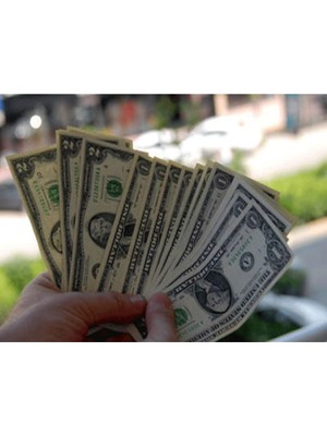 Yapay Dolar Seti, Eğlence ve Dekorasyon Için 100 Adet, Beyaz Renk