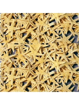 Minik Doğal Deniz Yıldızı Seti, 100 Adet, 1.5-3 Cm, Bej Renkli Dekoratif Ürün