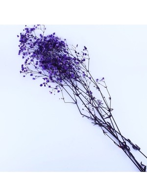 Mor Doğal Kuru Çiçek, 40 Cm, 20 Gr, Şık ve Doğal Dekoratif Bitki Seçeneği