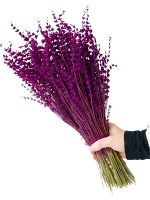 Taze ve Güzel Lavanta Buketi, Doğa ve Huzur Dolu Renklerle Hazırlanmıştır