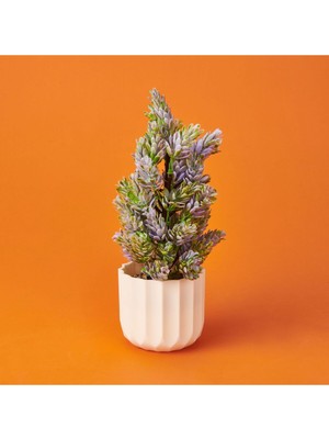 Renkli Yapay Çam Dekoru 10,5X26 Cm, Canlı ve Şık Ev Içi Süsleme Ürünü