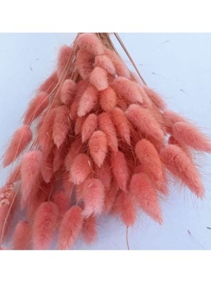 Pembe Kuru Çiçek Demeti, 15 Dal Lagurus, Doğal ve Şık Dekoratif Seçenek