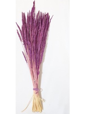 Mor Renkli Taze Kuru Yulaf Demeti, Sağlıklı ve Doğal Seçenek