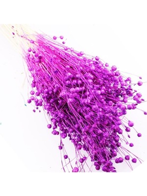 Doğal Kurutulmuş Mor Keten Otu Çiçeği 35 Gr, Şık ve Zarif Dekorasyon Parçası