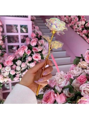 Solmayan Gül, Ev Dekor ve Sevgiliye Özel Hediye, Şık ve Kalıcı Tasarım