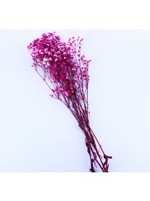 Doğal Kurutulmuş Kırmızı Çiçek, 40 Cm, 20 Gr, Dekoratif Bitki