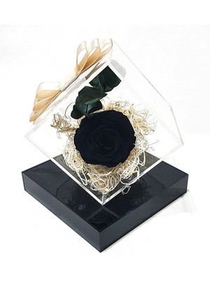 Siyah Solmayan Gül ve Okaliptüs Yaprağı ile Sonsuzluk Hediye Çiçeği