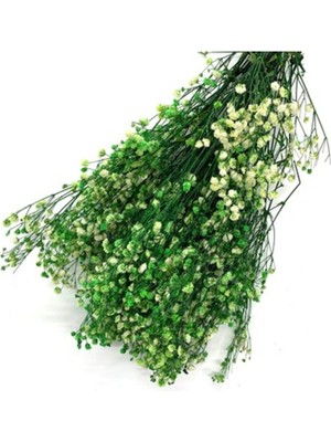 Yeşil Kuru Cipso Demeti, Tazelik ve Lezzet Dolu Bir Seçim