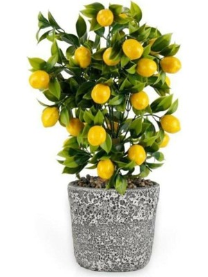 Büyük Boy Yapay Limon Ağacı, Dekoratif Beton Saksıda, Canlı Görünüm