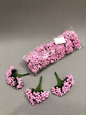 Pıtırcık Cipso Tohumları, 144'LÜ Paket, Renkli ve Kaliteli Tohum Seçeneği