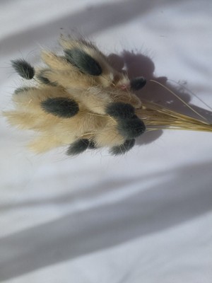 Kurutulmuş Çiçek Aranjmanı, 40 Dal Pamuk Otu, Tavşan Kuyruğu ve Lagurus Detayları