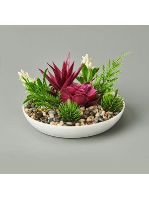 Çok Renkli Dekor Aranjmanı, Sukulent, 15X10 Cm, Canlı ve Şık Tasarım