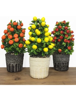3'lü Porselen Saksıda Canlı Nar, Mandalina ve Limon Ağacı Seti