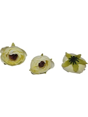 20 Adet Ekru Çiçek Şakayık Tamurcuğu Sapsız Modeli