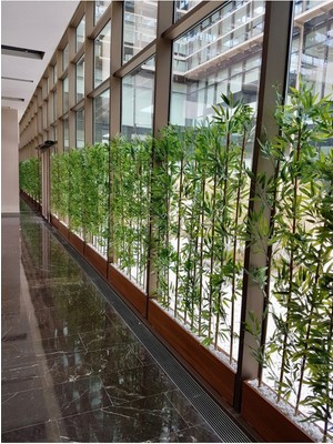 180 cm Bambu Paravan, 100X180 Cm, Kahverengi, Zarif ve Doğal Dekorasyon Parçası