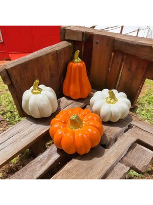 Şık 4'lü Kabak Biblo Seti, Sıcak Turuncu Renkli Dekoratif Obje