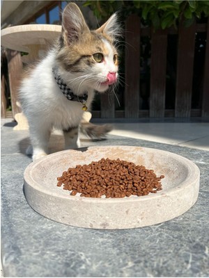 Bej Traverten Doğal Taş Kedi ve Köpek Mama Kabı, Şık ve Dayanıklı Tasarım