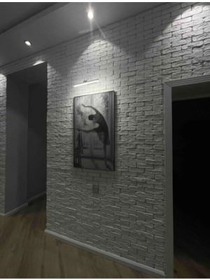 Şık 6W Krom Beyaz Işık Ayna ve Tablo Aydınlatması Kuğu ve Flüt Tasarım