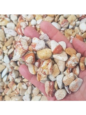 Sarı Çizgili Dolomit Taş 3 kg 1-2 cm Bahçe ve Akvaryum Süs Taşı