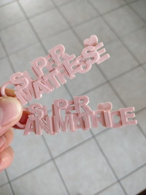 BYR Mistress ve Ev Sahibi Için Kilit Sahipler (Sadece Plastik Aparattır!!!) 3D