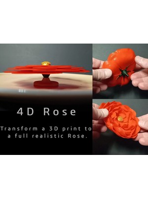 BYR 4d Baskılı Gül (Sadece Plastik Aparattır!!!) 3D