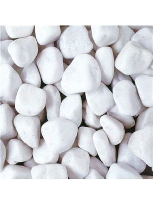 Beyaz Dolomit Taş 3 Kg, 2,5-4 Cm, Bahçe, Saksı, Teraryum, Akvaryum Süs Taşı