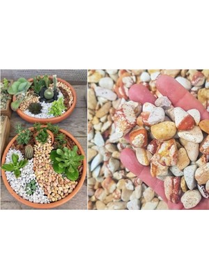 Sarı Dolomit Taş 2 kg 1-2 cm Bahçe, Süs, Akvaryum ve Teraryum Taşı