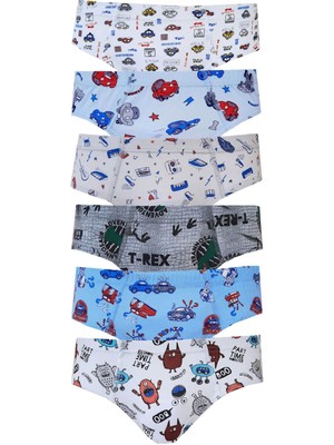 Erkek Çocuk Slip Külot 6 Lı Paket