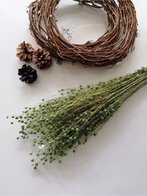 Açık Yeşil Renkli Şoklanmış Kuru Çiçek Demeti, Doğal ve Şık Dekorasyon Parçası