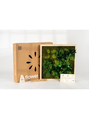 Doğal Yosun & Yapraklı Duvar Dekoru | 45X45 cm | Bakım Gerektirmez | Ahşap Çerçeve ile El Yapımı Bitki Panosu