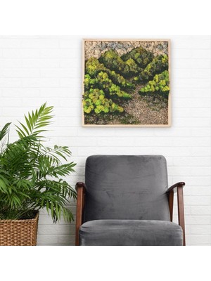 45X45 cm Doğal Taşlı Yosun Duvar Tablosu | El Yapımı, Bakım Gerektirmez, Siyah Alüminyum Çerçeve | Modern Botanik Dekor