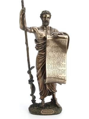 Rakun Home Wise Hipokrat Biblo