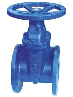 Klepsan 1181 Elastomer Sürgülü Vana F4 GG40 DN65