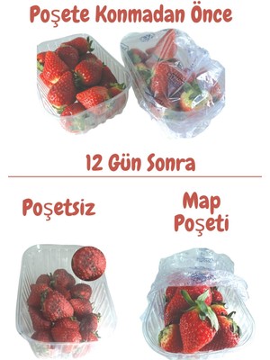 Dekals 20 Adet Çilek Poşeti Çileği Taze Tutan Çürümesini Önleyen Saklama Poşeti