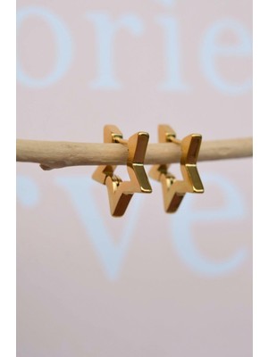 Sacce Scarves & Accessories Çelik Yıldız Küpe